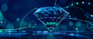 Portfolio diversification and risk management feature view